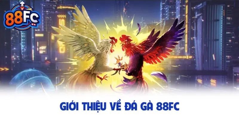 Giới thiệu về đá gà 88FC